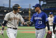 Hanshin Tigers vs Yokohama Baystars Match Player Stats